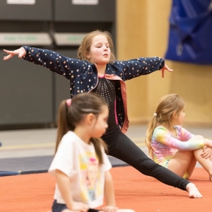 Tring Gymnastics club is based at Tring Sports Centre